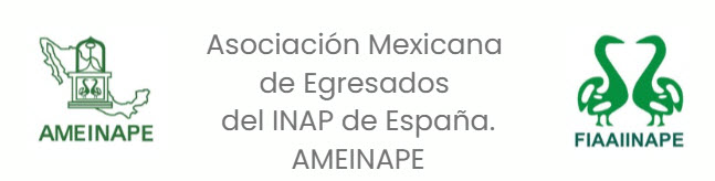 Portal de la AMEINAPE